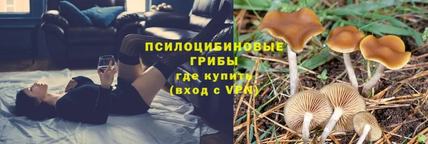 марки nbome Арсеньев