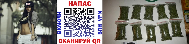 Бошки марихуана White Widow  сколько стоит  OMG сайт  Пустошка 